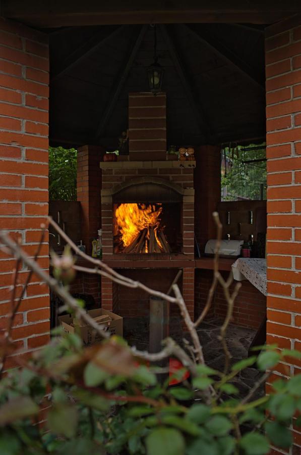 Pensiunea Mara *** Borşa Exterior foto